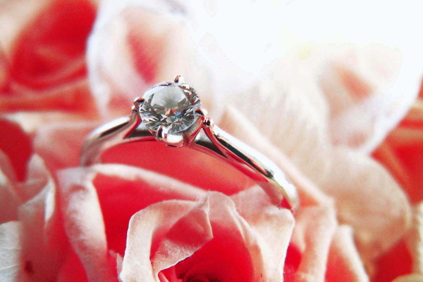 婚約指輪のダイヤモンドは0.5カラットがベスト？悩んだ際の選び方とは
