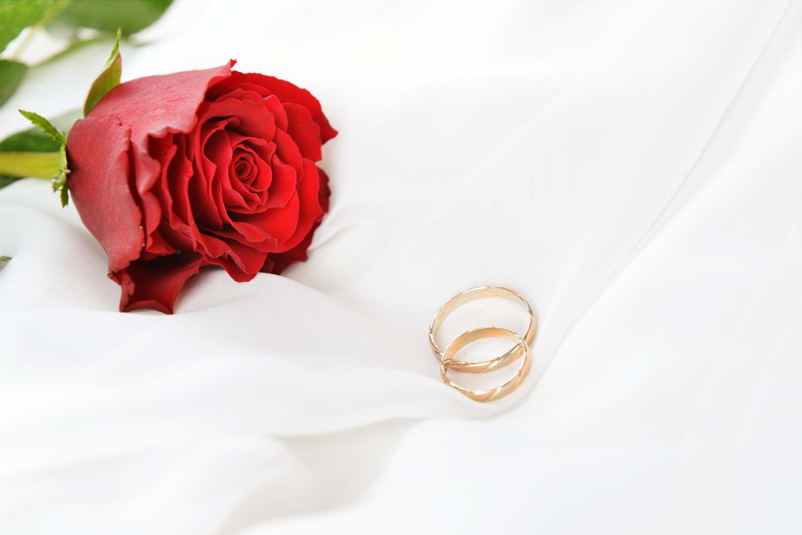 18金の結婚指輪を選ぶメリットとこだわりたいカラー ｜婚約指輪・結婚 